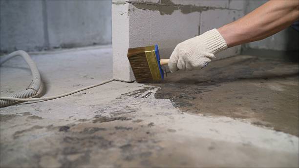 SJ Waterproofing Pros Waterproofing coverage map for Alma, MI and surrounding area